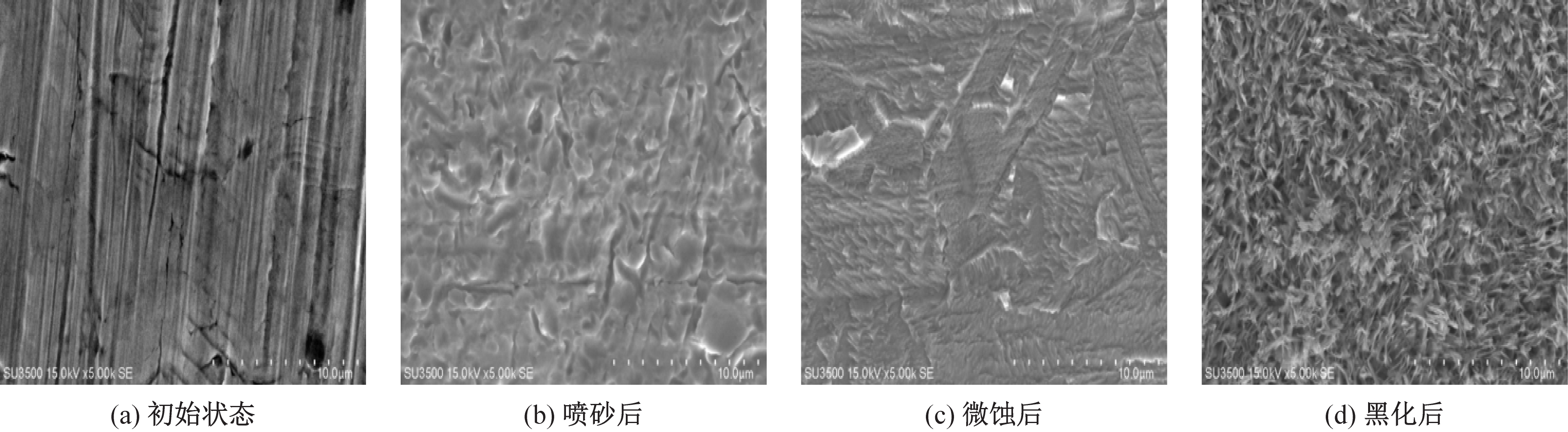 圖7 銅箔表面不同處理方式掃描電鏡