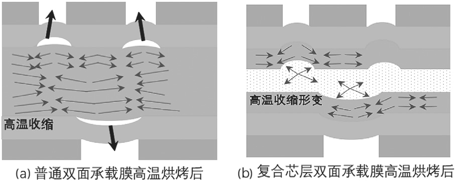 圖5 雙面承載膜高溫烘烤后變形